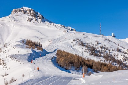 Auron