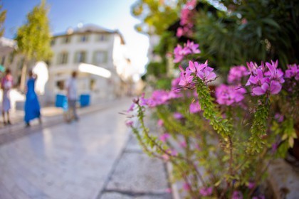 La Colle sur Loup