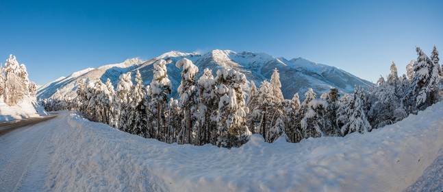 Auron