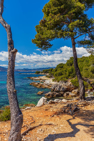 Lérins, Sainte-Marguerite