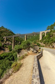 Pont du Vecchio