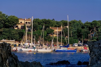 Presqu'ïle de Giens