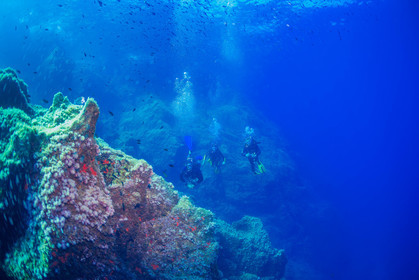 Plongée-sous-marine