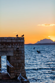 Cap d'Antibes