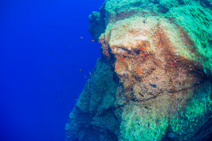 Plongée-sous-marine