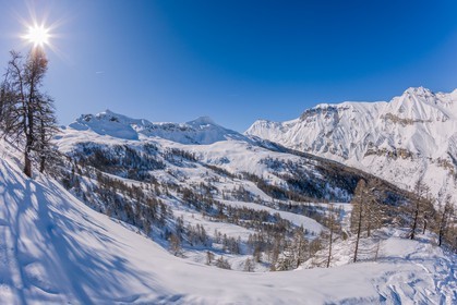 Auron