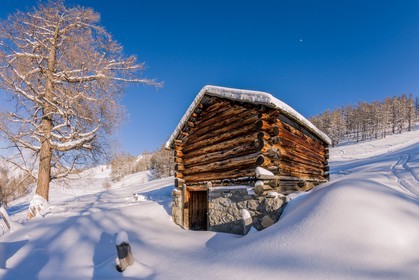 Auron