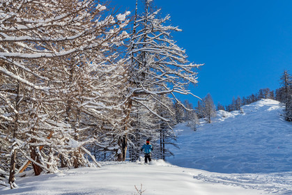 Auron