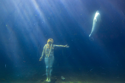 Seaquarium
