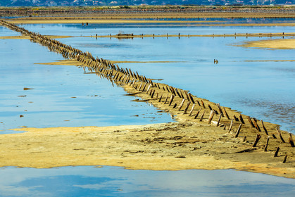Salins d'Hyères