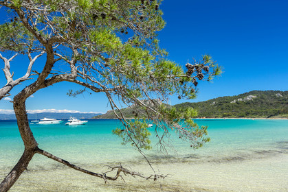 Porquerolles