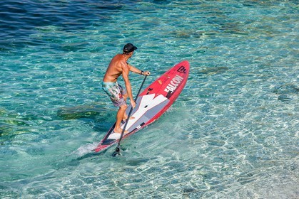 Paddle