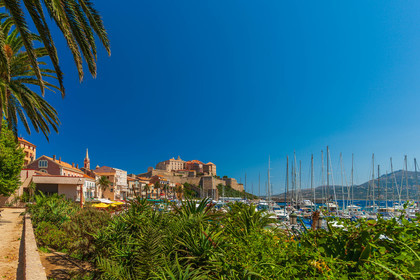 Calvi