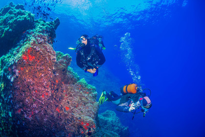 Plongée-sous-marine