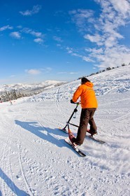 Trikke Skki