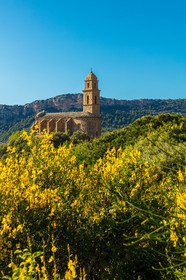 Patrimonio