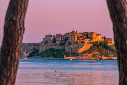 Calvi