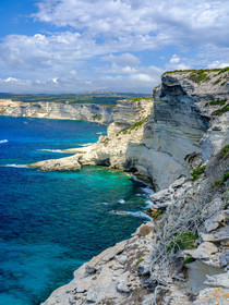 Pertusato