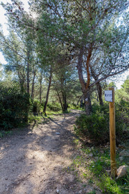 Saint-Mandrier-sur-Mer