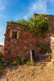 Partinello