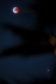 Lune rousse