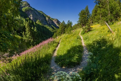 Cascade du Pich