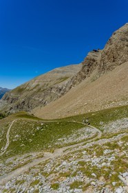 Col de la Petite Cayolle