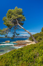Lérins Sainte-Marguerite