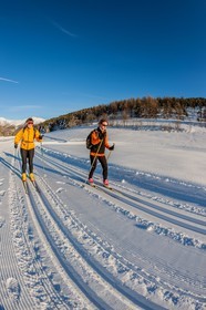 Ski de fond