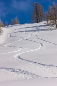 Isola 2000