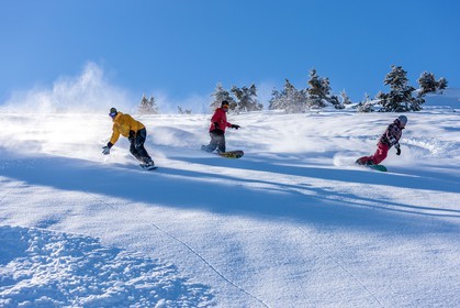 Snowboard