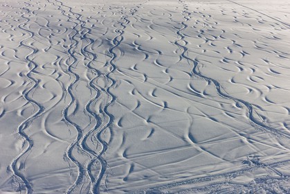 Auron
