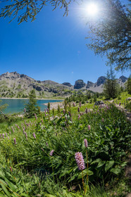 Lac d'Allos