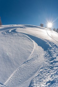Auron