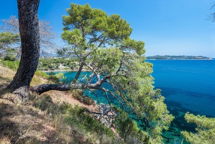 .La Seyne-sur-Mer