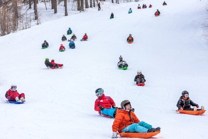 Luge
