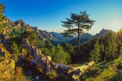 Bavella