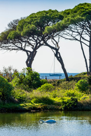 Lérins Sainte-Marguerite