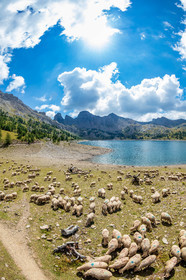 Lac d'Allos