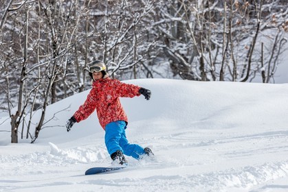 Snowboard