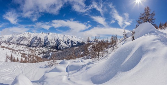 Auron