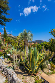 Eze Jardin exotique