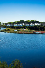 Lérins, Sainte-Marguerite