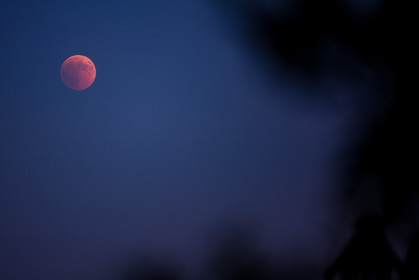 Lune rousse