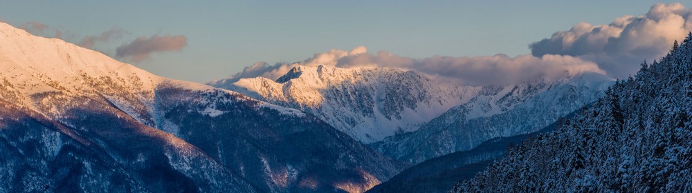 Auron