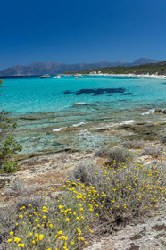 Saleccia