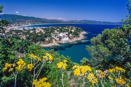 Cavalaire
