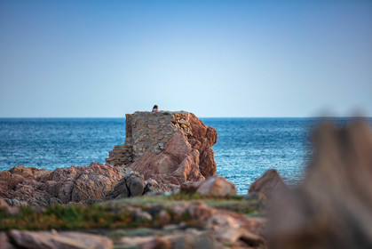 Tonnara