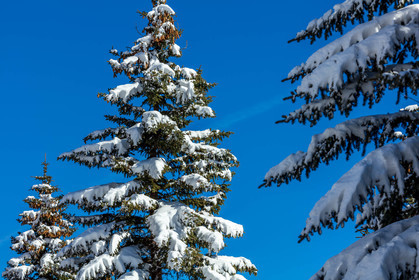 La Foux d'Allos
