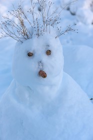 Bonhomme de neige